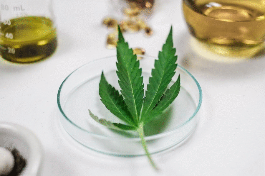 What Does Cannabis Law Say About Cancer Patients?